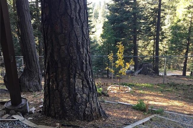 Building Photo - 31644 Christmas Tree Ln