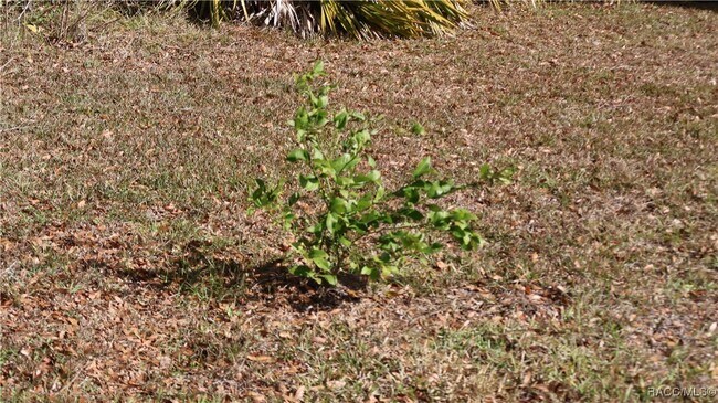 Building Photo - 9601 W Berry Ln