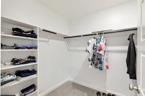 Building Photo - 216 Shore Pointe Ct