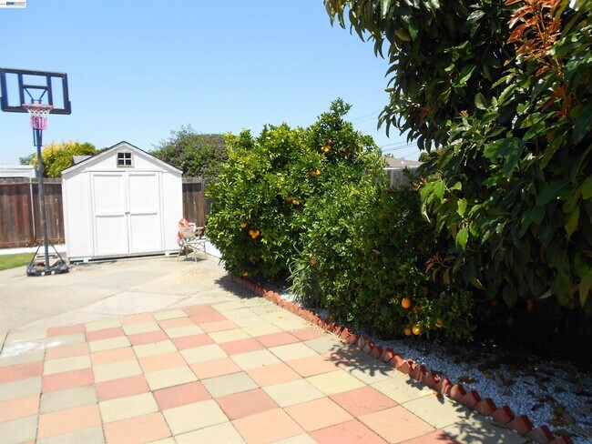 Building Photo - 1257 Henderson Ln