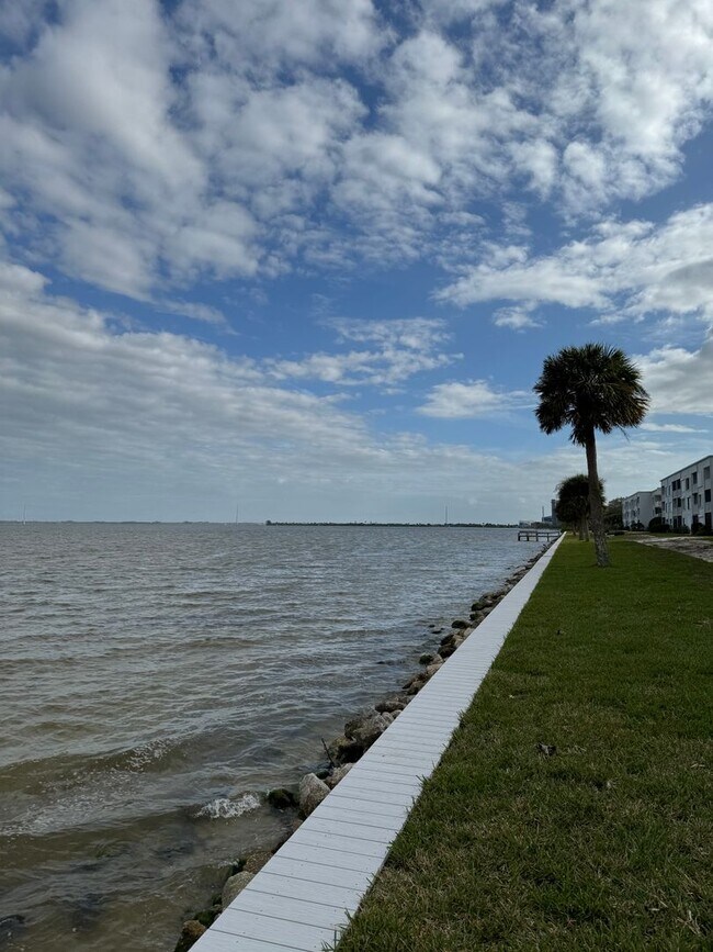 Building Photo - Directly on the River, what a view!!