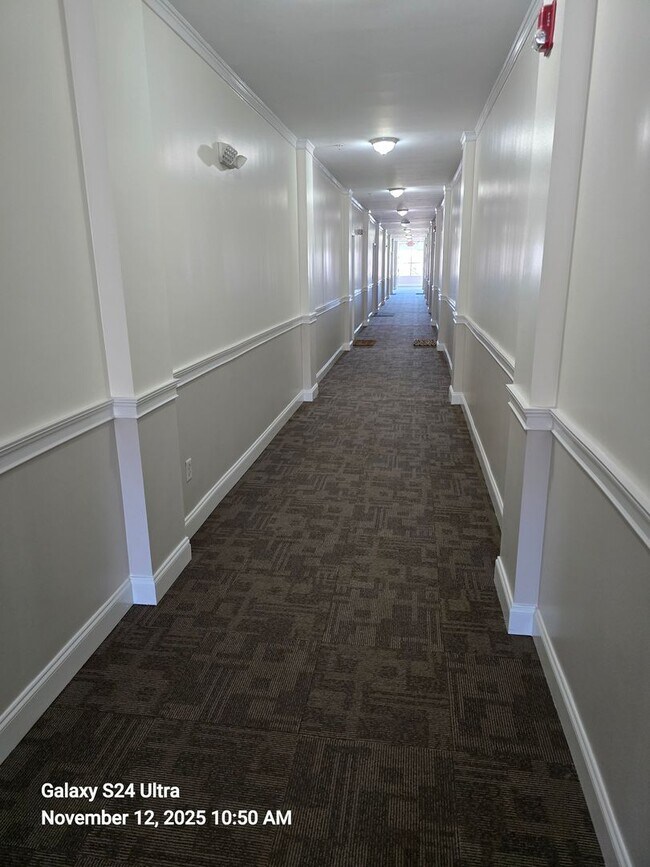 Building Photo - Luxurious Furnished Downtown Condo - 6-18 Month Lease Available!