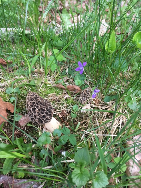 Building Photo - 56 London Rd