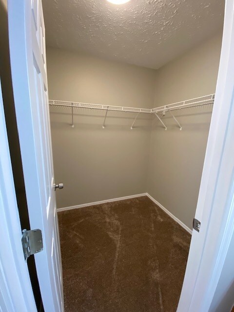 Building Photo - 2933 Billings Way