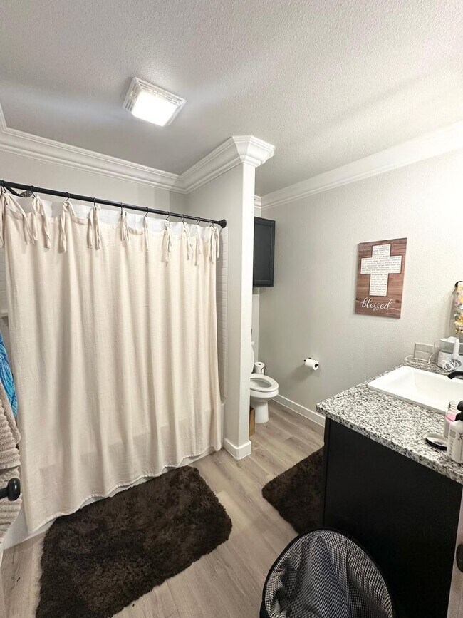 Building Photo - New Build 3 Bedroom 2 Bath For Lease