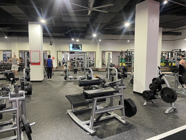 Gym - 48 S Park St