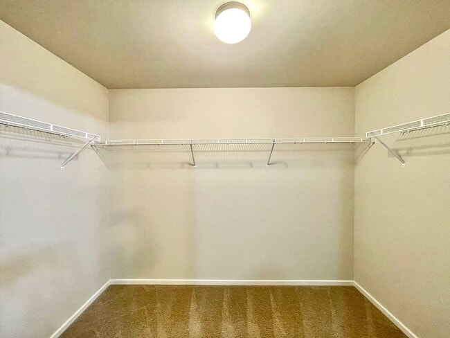 Building Photo - Modern 2017 Built Home in Silver Lake