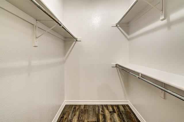 Building Photo - 3105 San Jacinto St