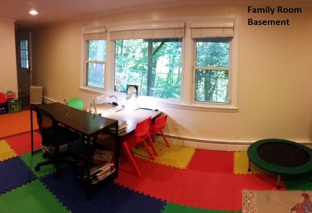 Family Room (lower level) - 23 Oneil Dr