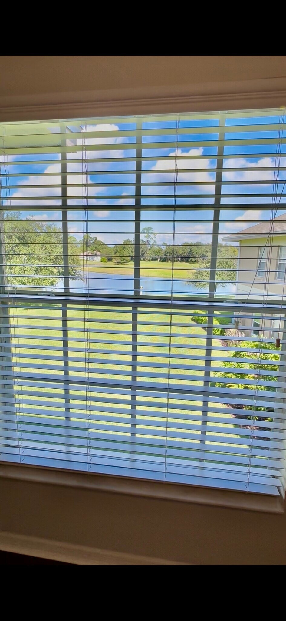 Vie from living room - 507 Eagle Pond Dr