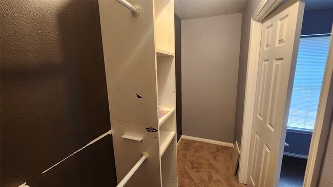Building Photo - 5015 Orange Tree Dr