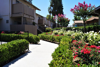 Building Photo - Valley View Apartments