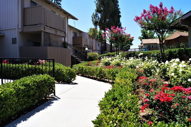 Primary Photo - Valley View Apartments