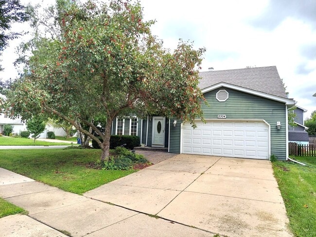 Primary Photo - 2304 Nottingham Dr