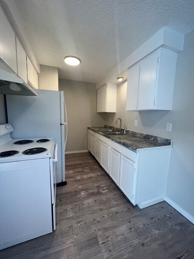Building Photo - Cute One Bedroom Apartment in Central Medford | Available Mid December