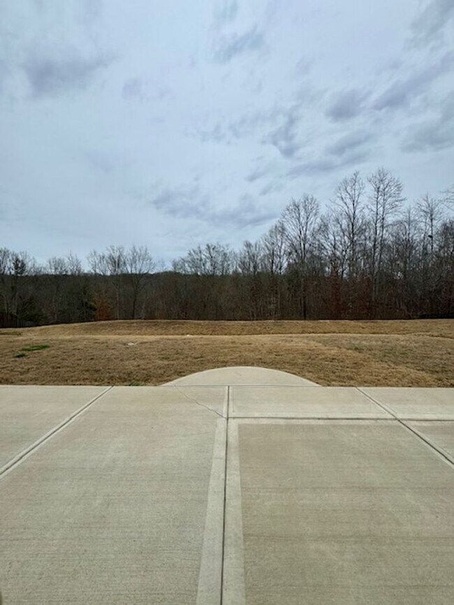 Building Photo - 3BR 2.5BA Home w/Resort Style Amenities at The Mills at Rocky River