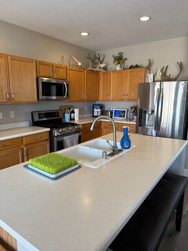 Building Photo - Single family home in North Valleys of Reno