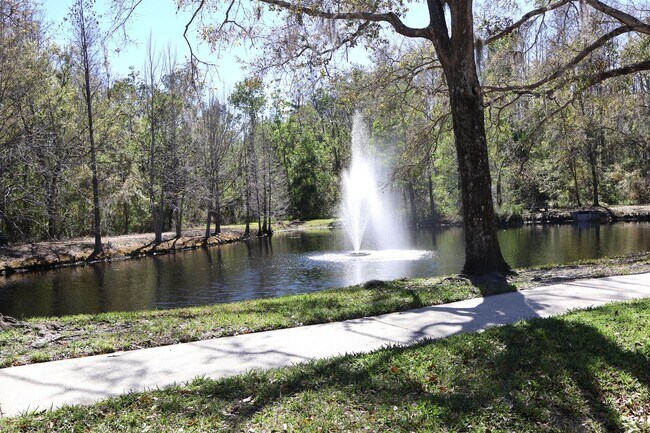 Building Photo - 4 bed, 2 bath pool home in Citrus Park