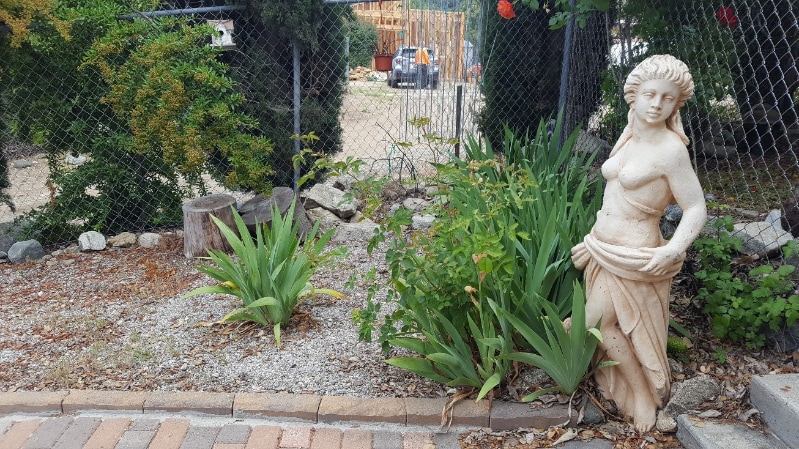 Building Photo - 776 Melody Ln