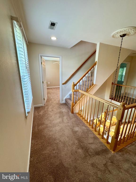 Building Photo - 805 Winterberry Dr
