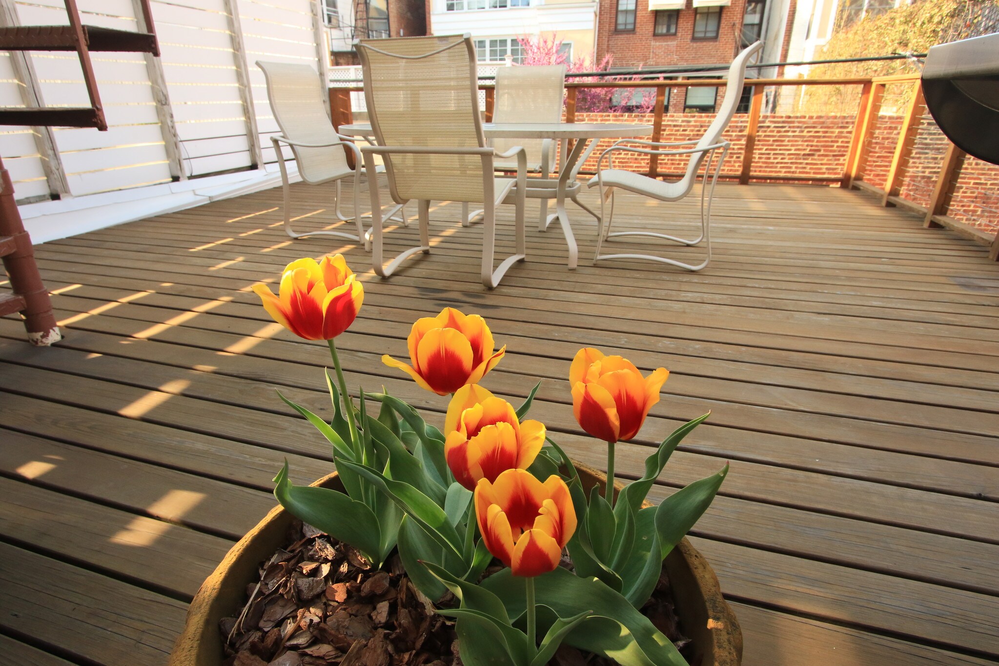 Building Photo - 1713 Riggs Pl NW