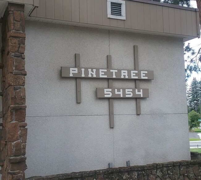 Primary Photo - Pinetree Apartments