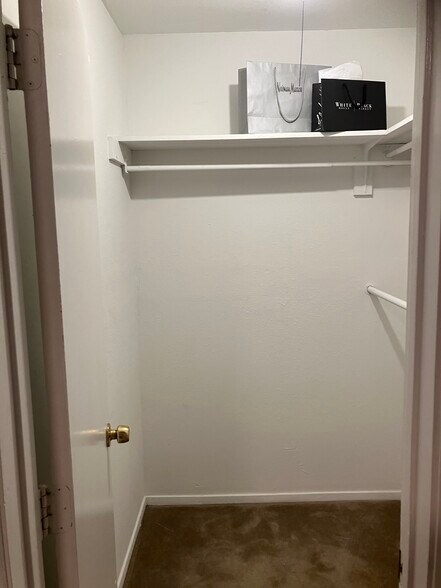 Primary Bedroom closet - 3523 Horizon Lake