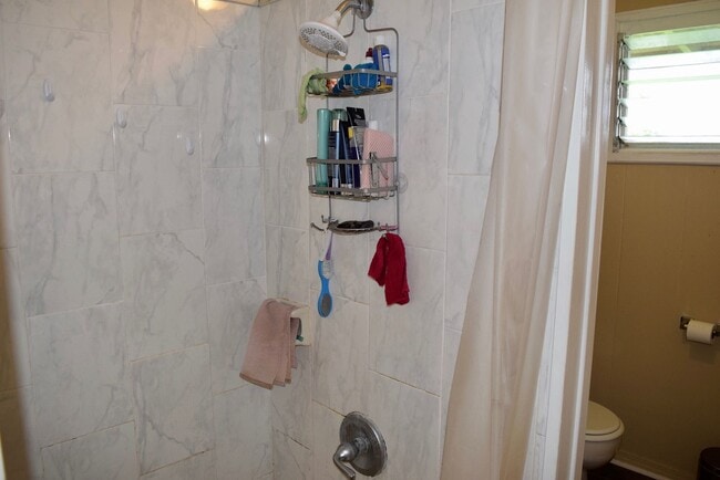 Building Photo - 71 Aipuni St