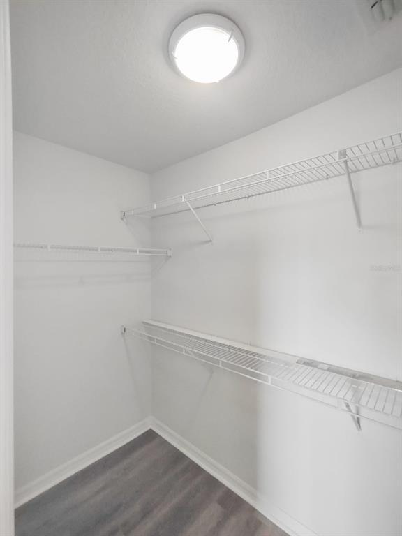 Building Photo - 3700 Castle Pines Ln