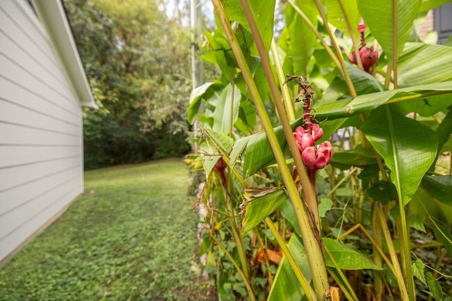 Building Photo - 2601 Bristol Pl