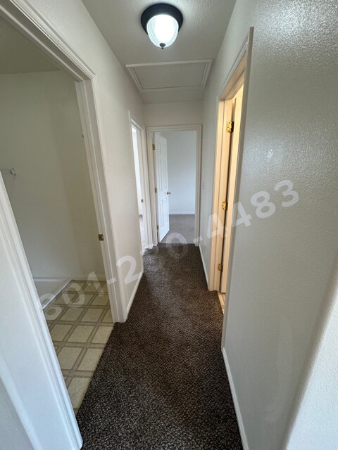 Second hallway - 2063 Boysenberry Dr