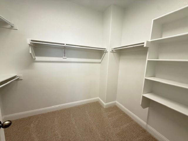 Building Photo - 309 Blackthorne Dr