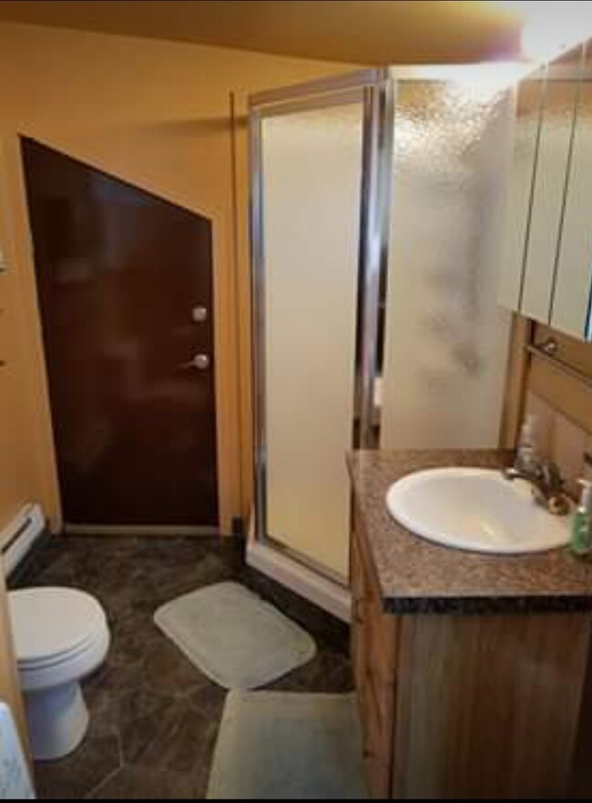 Bath w/2 Med Cabinets/Lg Shower - 595 Danielson Rd