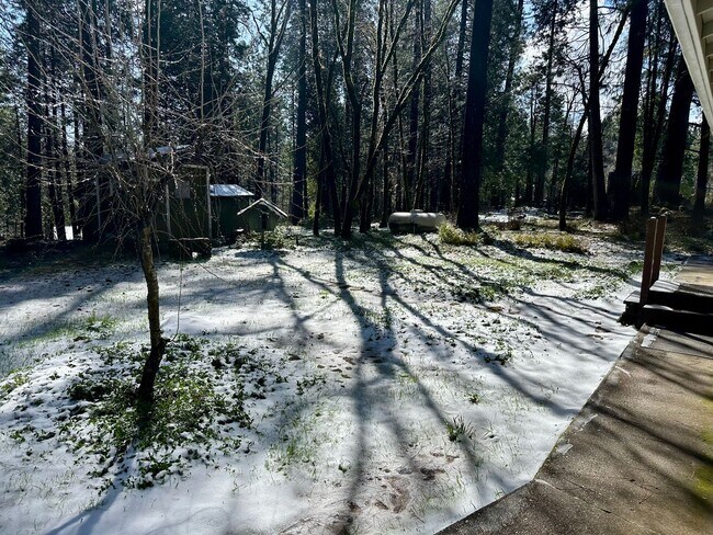 Building Photo - Wooded 2 bedroom cabin in nice neighborhood