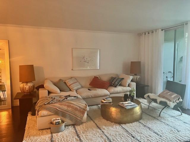 Living Room - 10240 Camarillo St