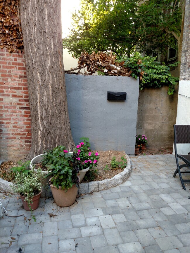 Courtyard - 2409 Panama St