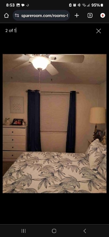 Building Photo - 4984 Pine Cone Ct