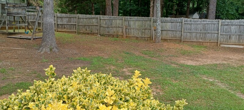 Building Photo - 7203 Ravenglass Ln