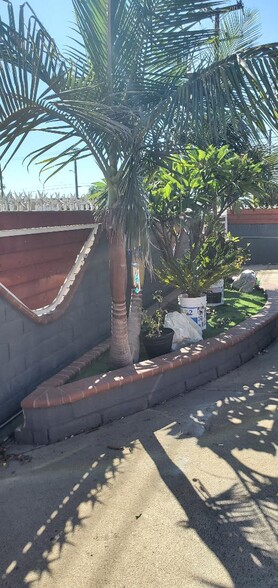 little side yard - 1439 W El Segundo Blvd