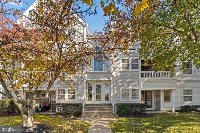 Building Photo - 8378 Montgomery Run Rd