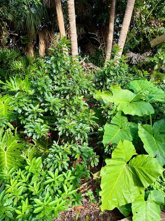 Building Photo - 3012 Grand View Ave