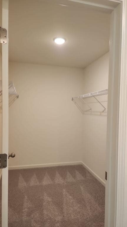 Building Photo - 2600 Westell Wy