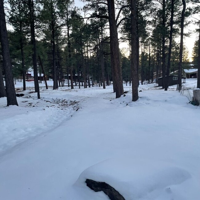 Building Photo - 213 White Mountain Meadows Dr