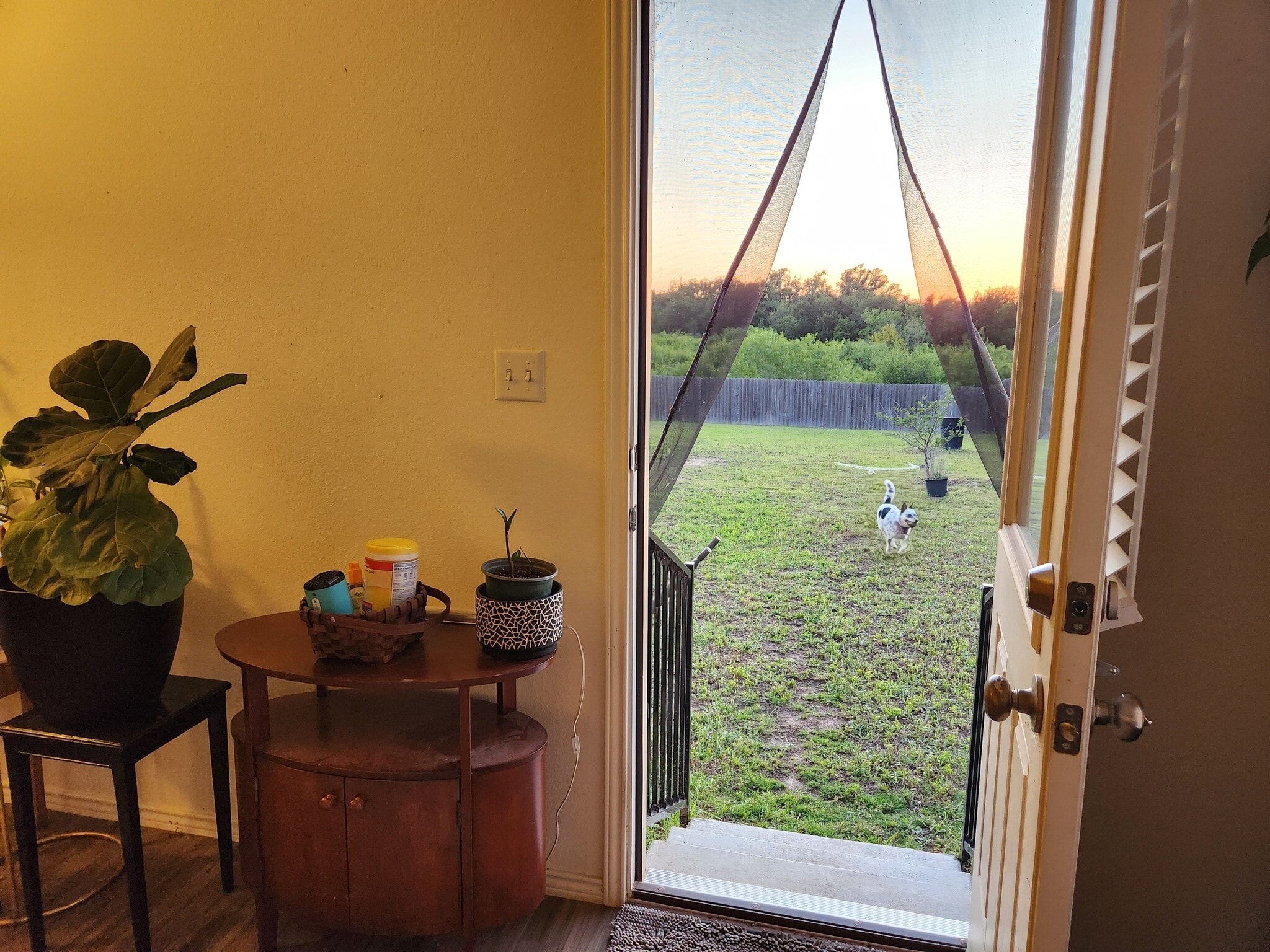 Back door to large, spacious back yard. - 13306 Mussel Run