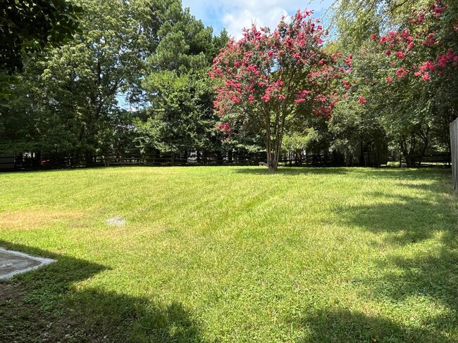 Building Photo - Spacious 4 Bed Home in Steele Creek