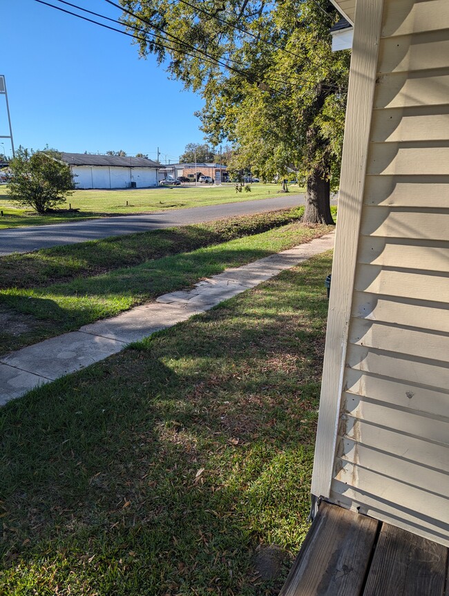 view from front porch - 310 Ludwig Ave