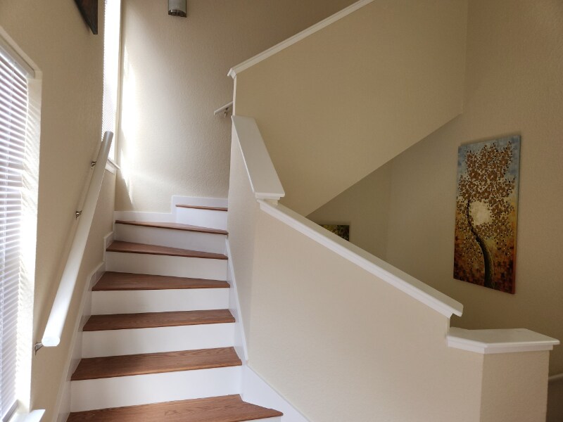 Building Photo - 3311 Haviland Ct