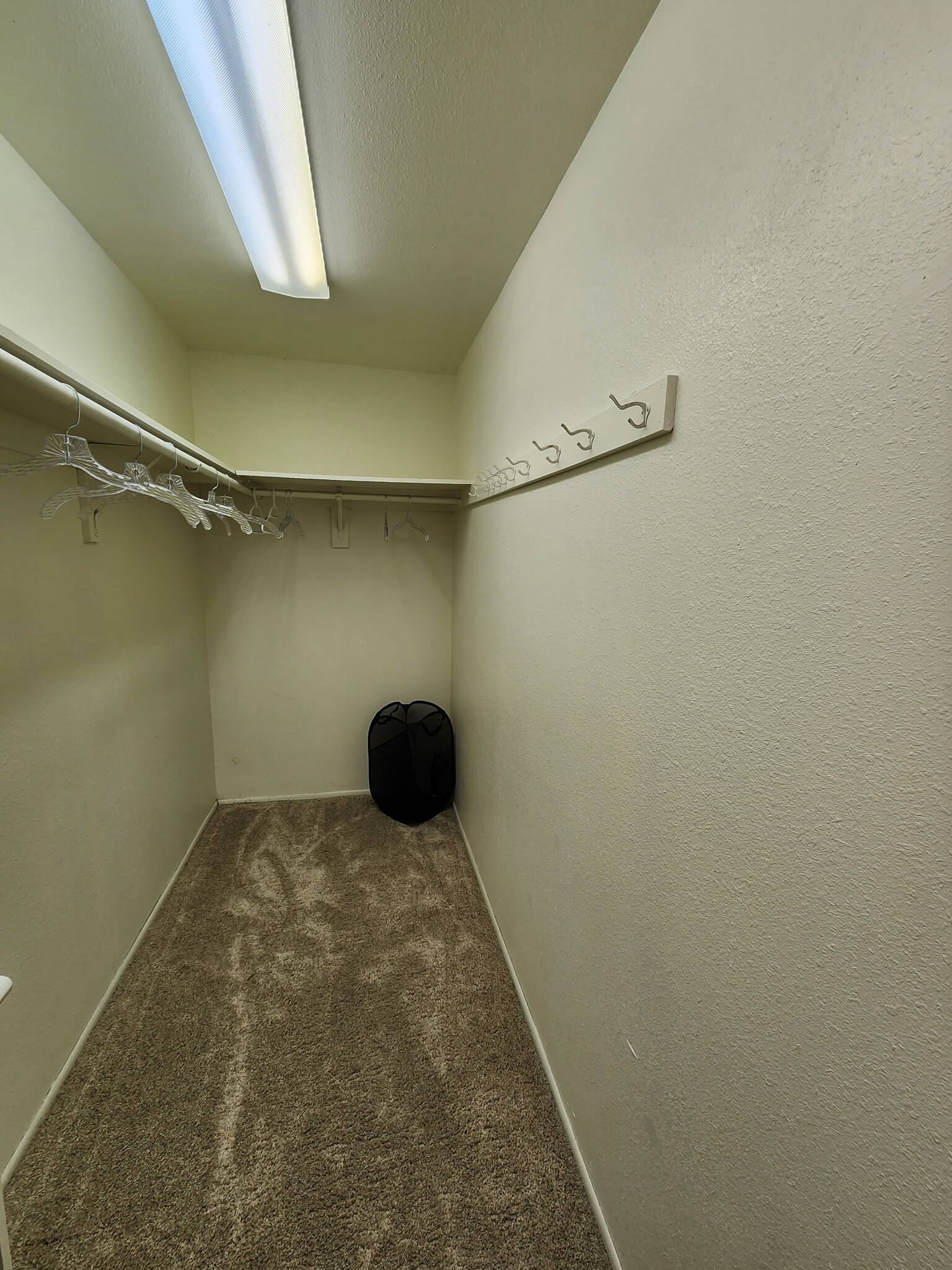 Large walk-in closet holds all your fabulous clothes, shoes and accessories. - 5050 N 81st St