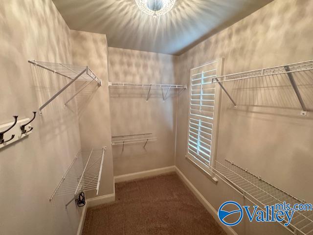 Building Photo - 6032 Stonewater Ct