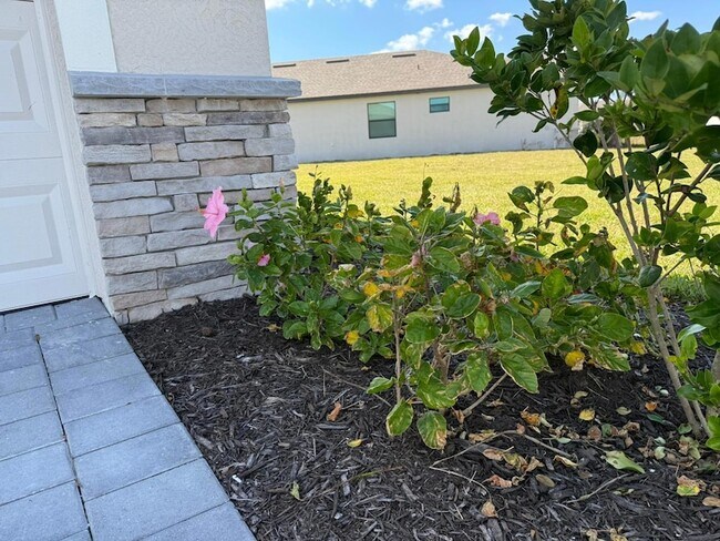Building Photo - 1553 Saddlewood Cir